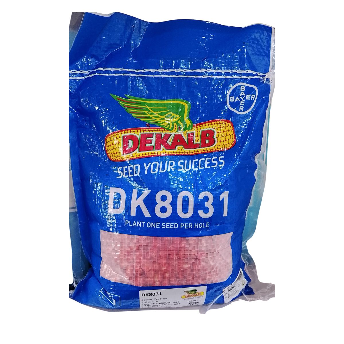 DK 8031