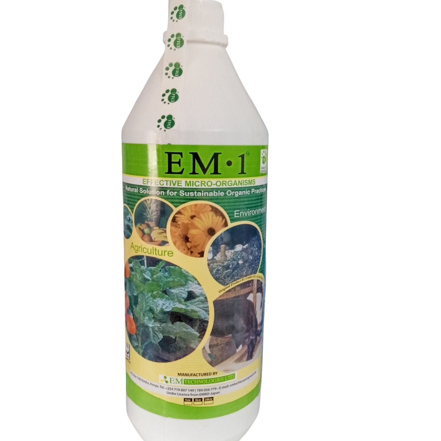 EM-1