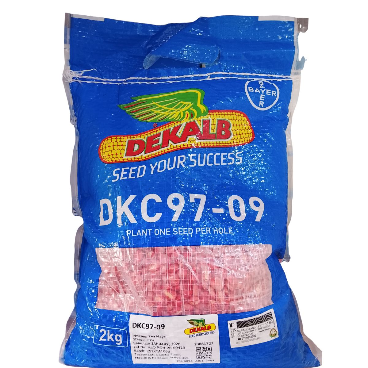 DKC 97-09