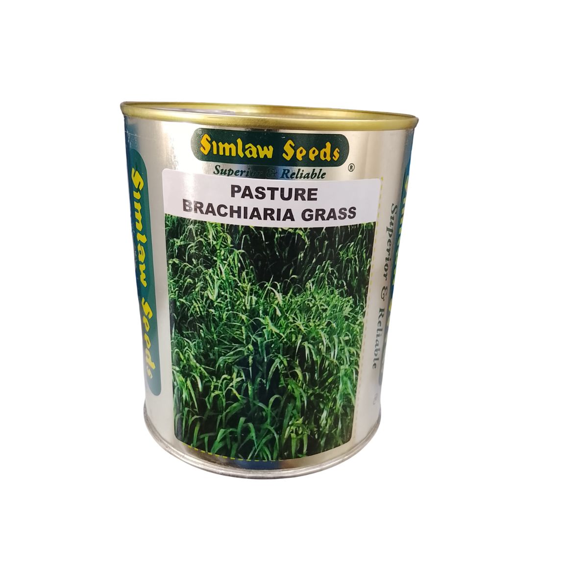 BRACHALIA GRASS