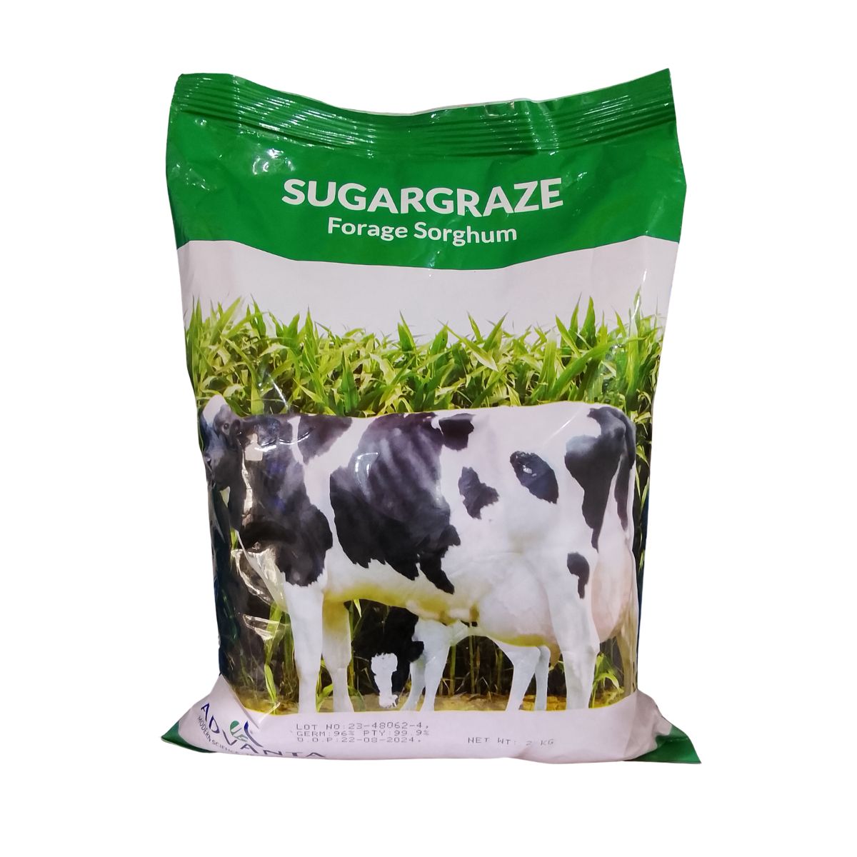 SUGAR GRAZE