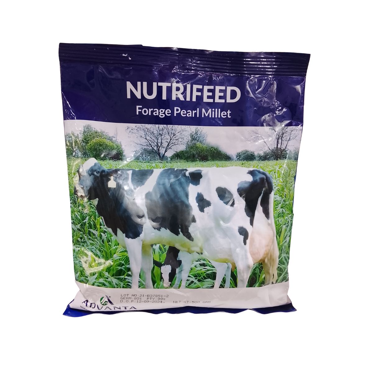 NUTRIFEED  FORAGE PEARL MILLET