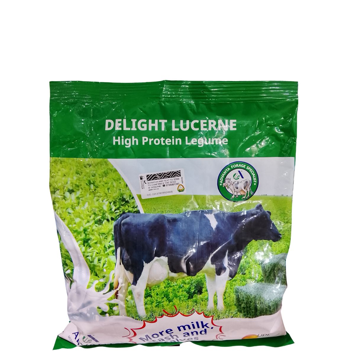 DELIGHT LUCERN