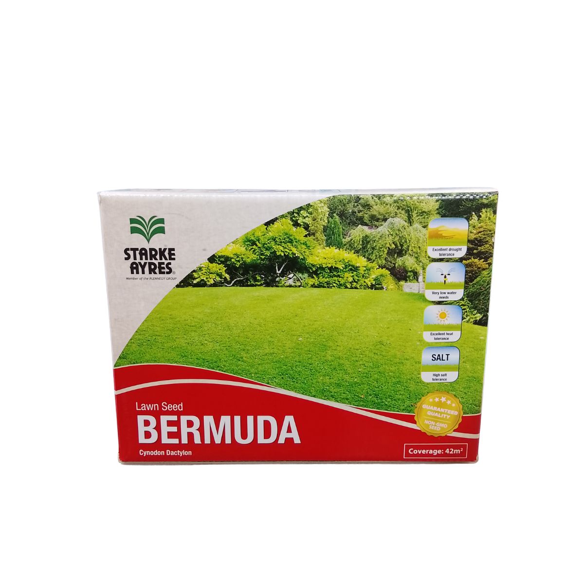 BERMUDA GRASS