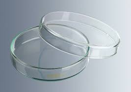 PETRI DISH