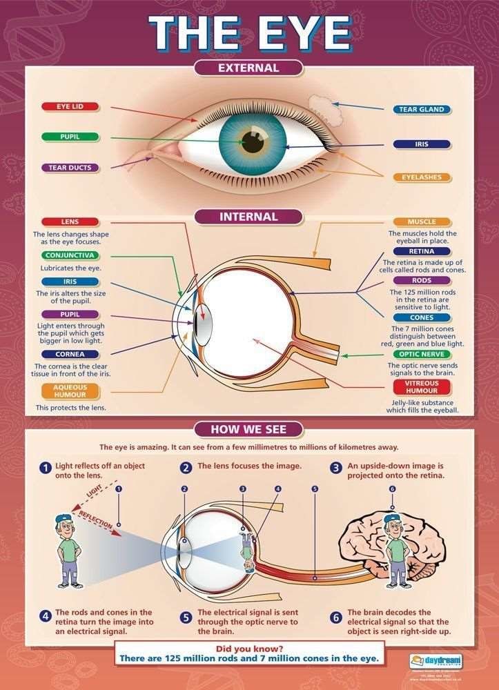 CHARTS (SCIENCE)